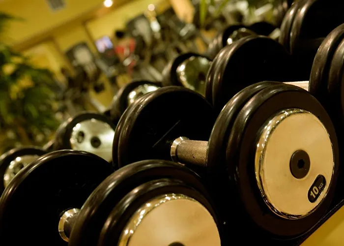 מלון Rochestown דן לירי