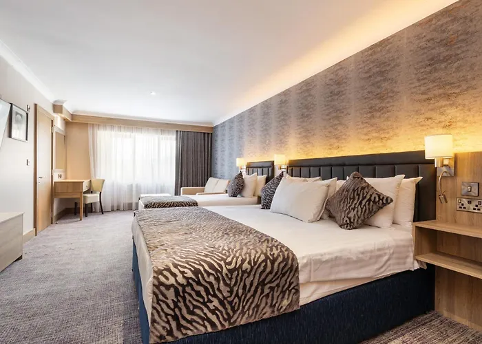 Rochestown דן לירי